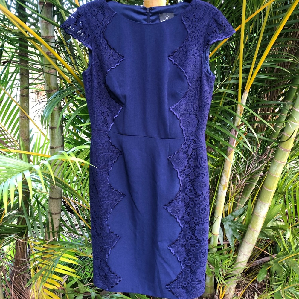 Adrianna Papell Navy Blue Dress